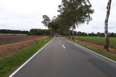 2018.09.22_Baum_auf_Straße (6)