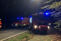 2018.10.17_VU_Delmenhorster_Landstr (3)