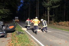 2018.10.17_VU_Delmenhorster_Landstr (6)