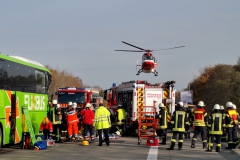 WhatsApp Image 2018-11-14 at 12.20.03(2)