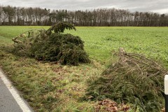 2020.12.27_Sturmschaden-4