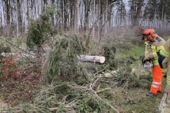 2020.12.27_Sturmschaden-8