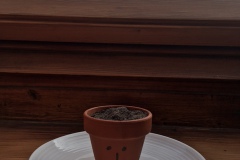 image0