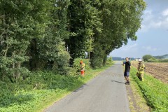 2021.07.25_Baum_auf_Fahrbahn-2