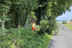 2021.07.25_Baum_auf_Fahrbahn-3
