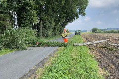 2021.07.25_Baum_auf_Fahrbahn-4