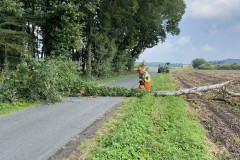 2021.07.25_Baum_auf_Fahrbahn-5