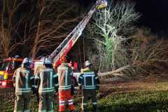 Einsatz Prinzhöfte