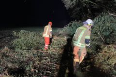 295b64e2-b37b-46fe-8a2d-950e463b0e85