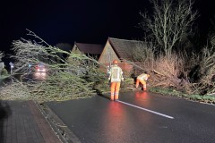 2022.02.21_Baum_saegen-2