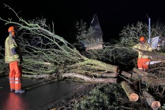 2022.02.21_Baum_saegen-3