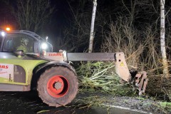 2022.02.21_Baum_saegen-5