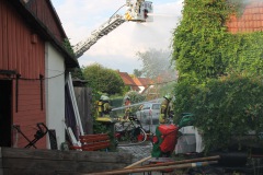 IMG_1304-Large