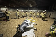 2025.10.15_Uebungsdienst_Grosstierrettung-10