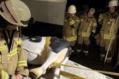 2025.10.15_Uebungsdienst_Grosstierrettung-5