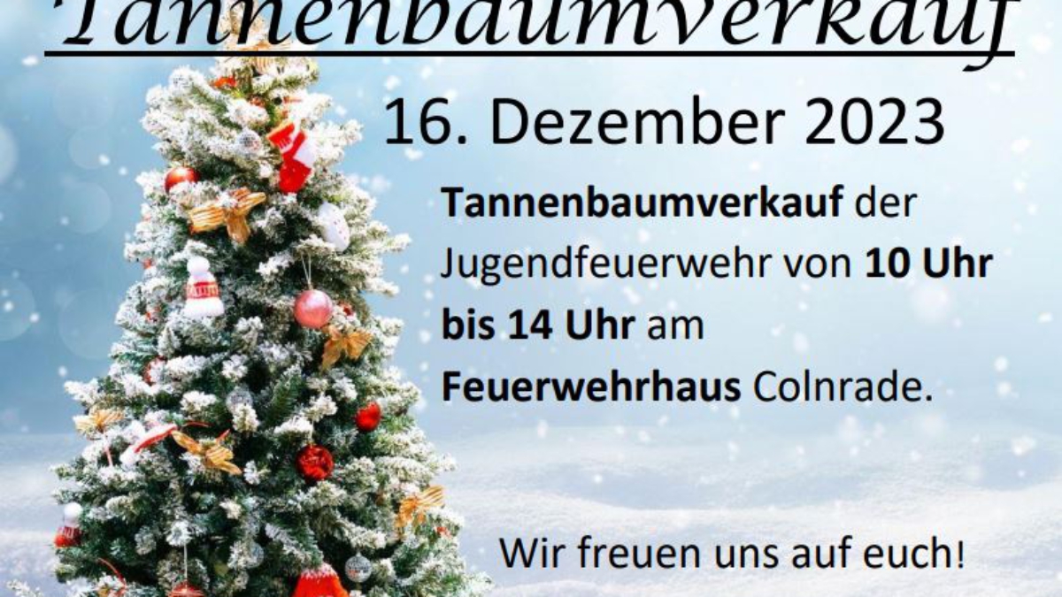 2023.12.15_Tannenbaumverkauf