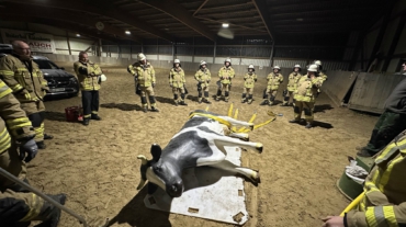 2025.10.15_Übungsdienst_Großtierrettung (9)